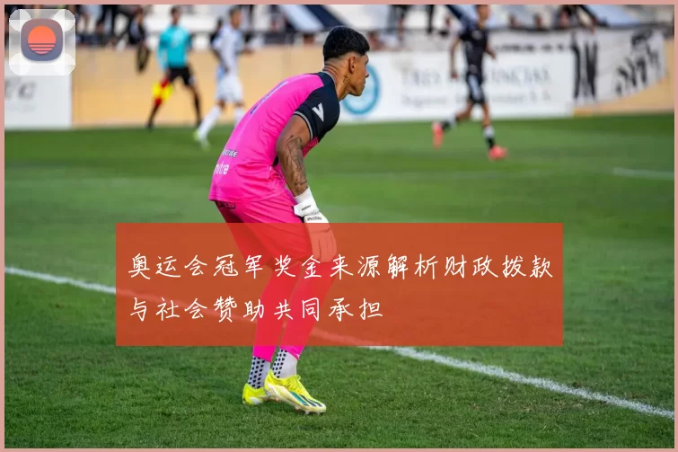 奥运会冠军奖金来源解析财政拨款与社会赞助共同承担