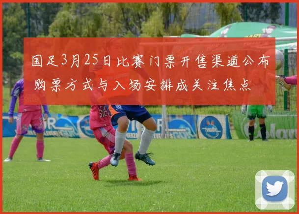国足3月25日比赛门票开售渠道公布 购票方式与入场安排成关注焦点