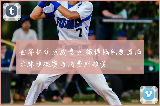 世界杯焦点战盘点 微博钱包数据揭示球迷观赛与消费新趋势