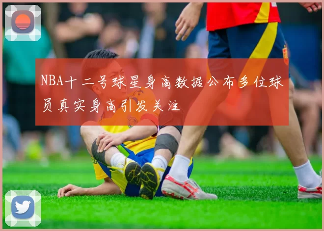 NBA十二号球星身高数据公布多位球员真实身高引发关注