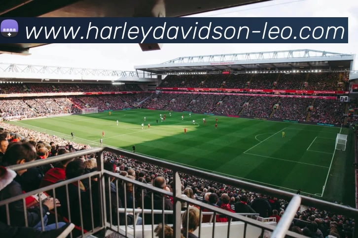 曼城统治英超本赛季连胜巩固榜首地位并对冠军争夺形成决定性优势